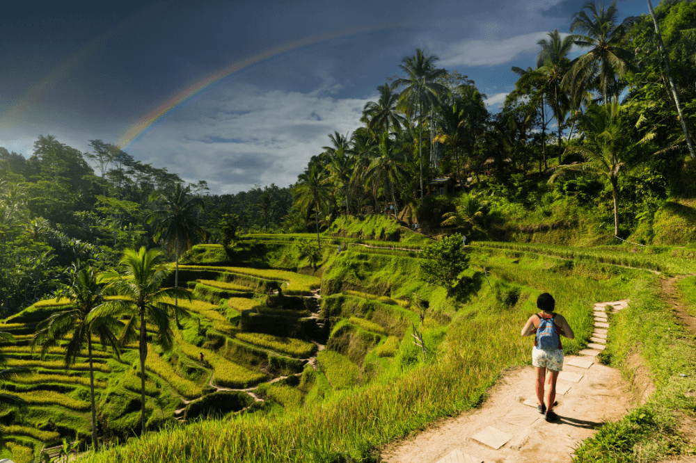 Wander Blog - Wander backpacking itineraries: South East Asia